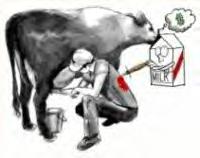 Steoid and Chemical Betrayel - click to NotMilk.org articles